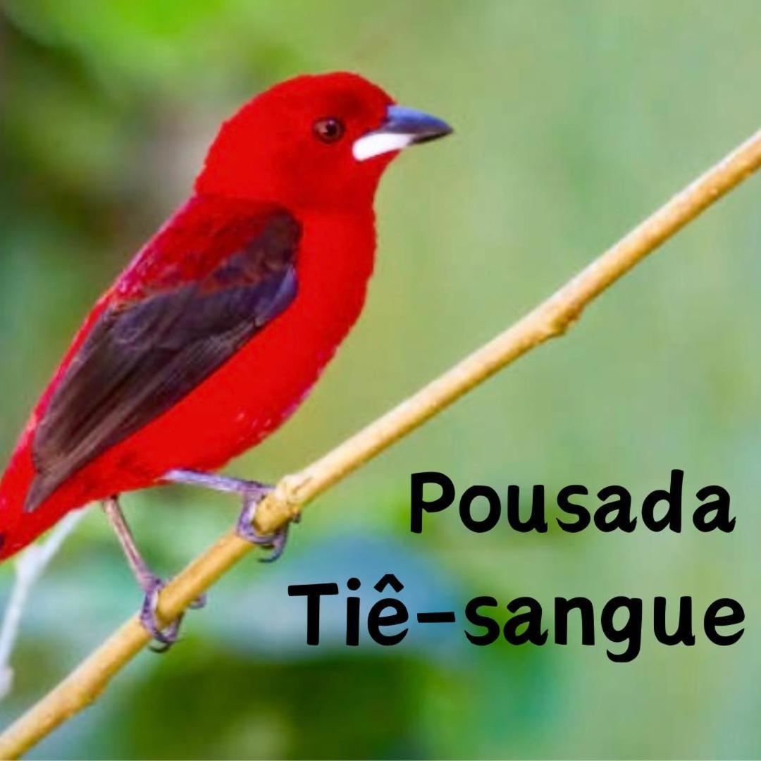 מלון איפורנגה Pousada Tie-Sangue מראה חיצוני תמונה